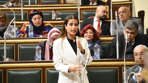 النائبة إيلاريا سمير