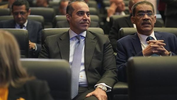 المستشار محمود فوزي