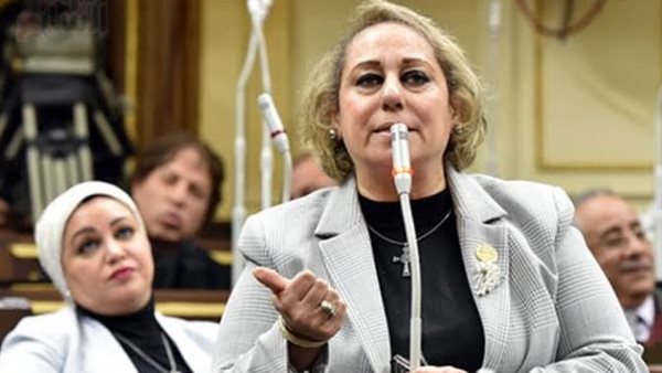  النائبة ميرفت إلكسان