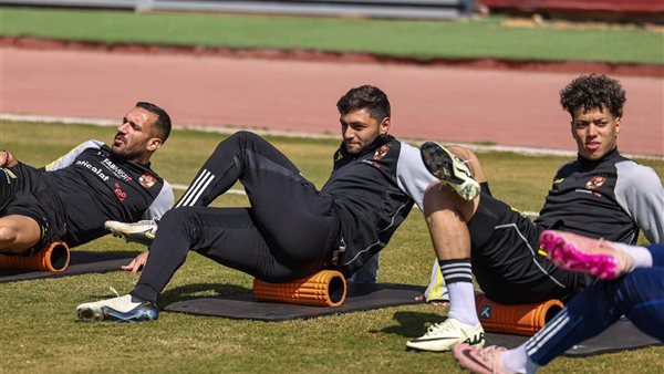 كريم نيدفيد