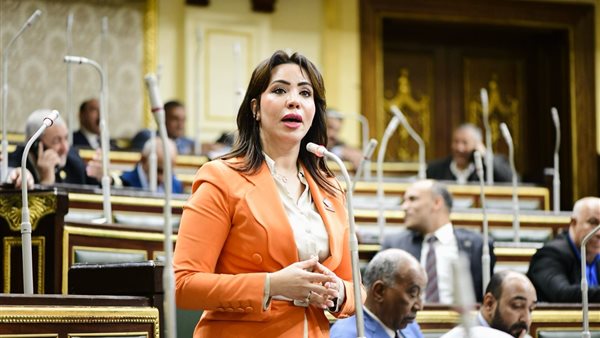  النائبة غادة علي