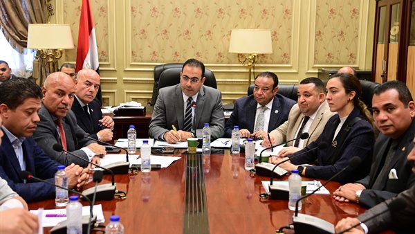 لجنة الشباب والرياضة