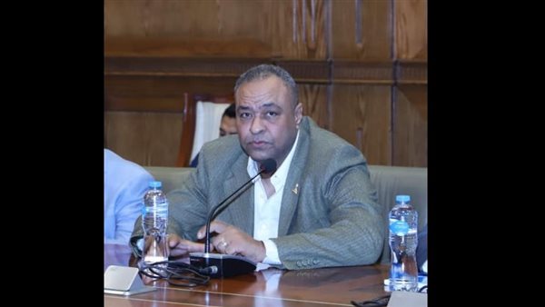  النائب علي عطوة