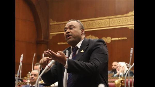  النائب علي عطوة