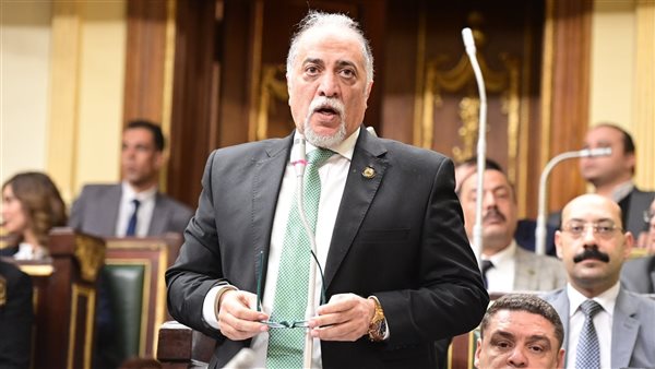 النائب عبد الهادى