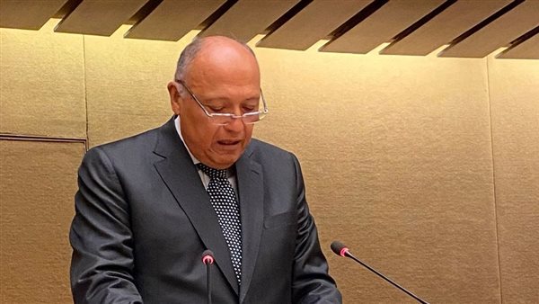 وزير الخارجية المصري