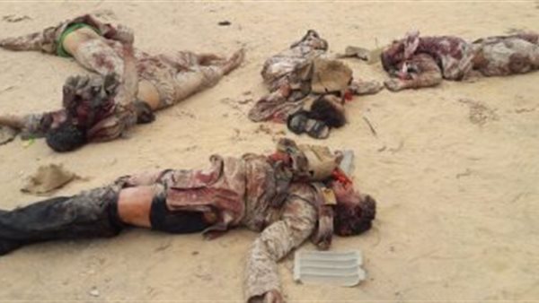 القوات المسلحة تنشر