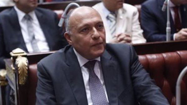 السفير سامح شكري