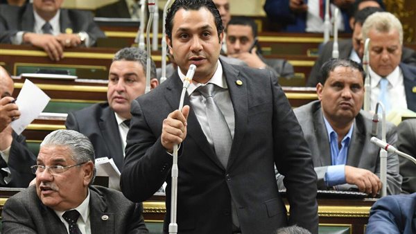 النائب عصام فاروق