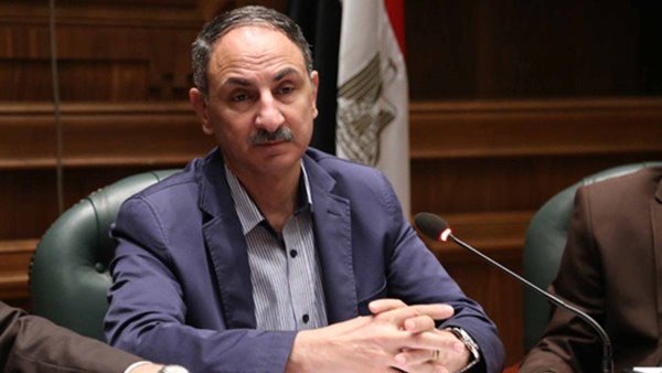 النائب مجدى ملك