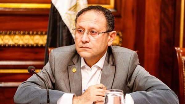 عصام بركات عضو مجلس