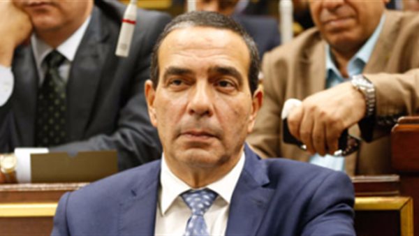 النائب أيمن أبو العلا