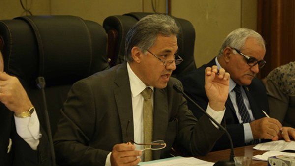 أحمد السجينى، رئيس