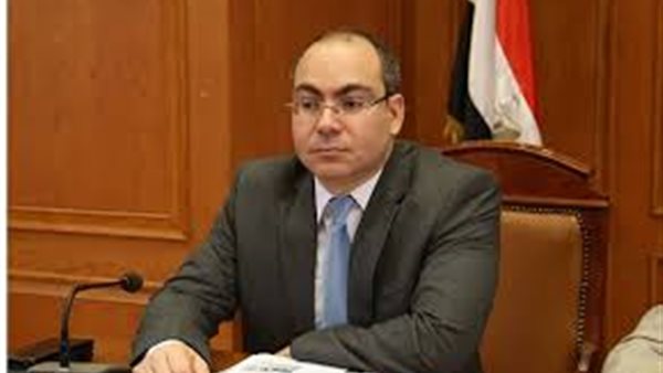 النائب محمد رشوان،