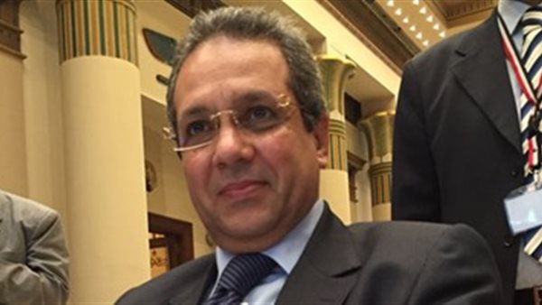 النائب احمد حلمى