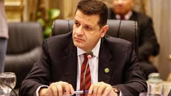 النائب طارق رضوان