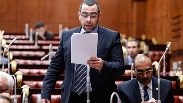 محمد فؤاد عضو مجلس