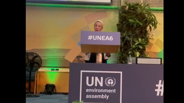 الدكتورة ياسمين فؤاد