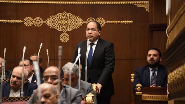 النائب عادل اللمعي،