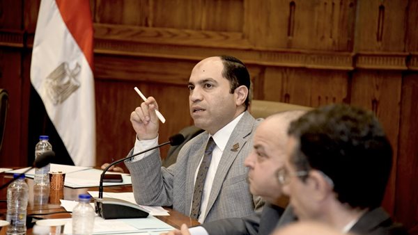 النائب عمرو درويش