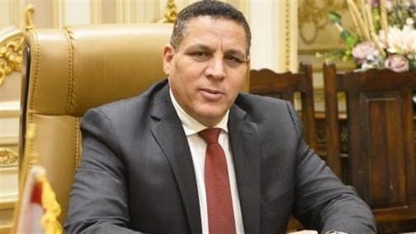 النائب أحمد محسن