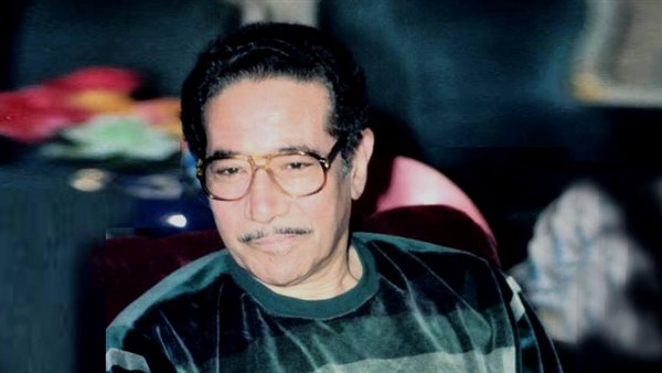 محمد الموجي 