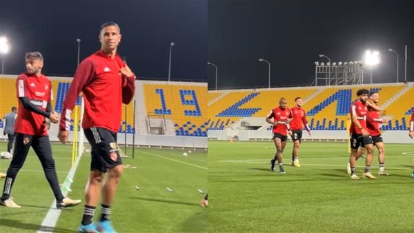 رضا سليم وبيرسي تاو