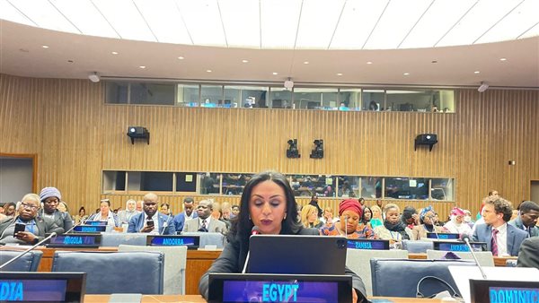 الدكتورة مايا مرسي