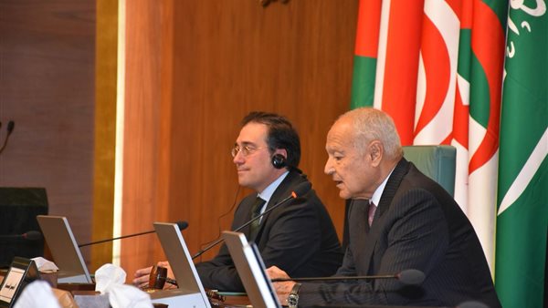 أبو الغيط - وزير