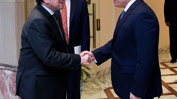 السيسي - وزير خارجية