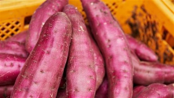 البطاطا الحلوة