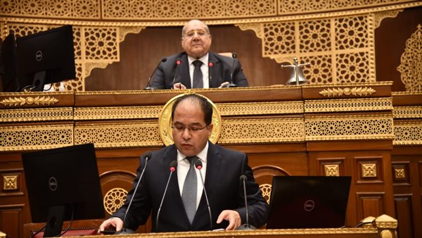  النائب عادل اللمعي