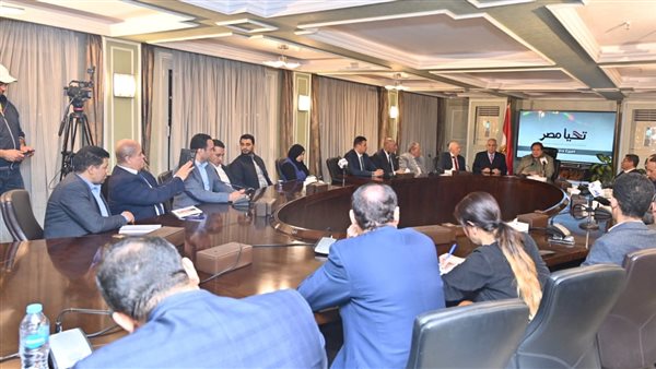 مجلس الأعمال المصري