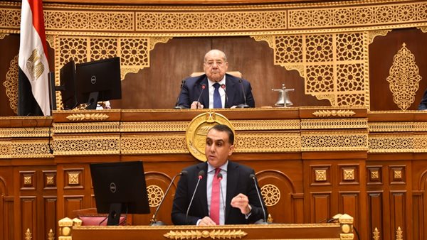 جانب من الجلسة العامة