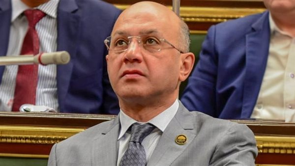  النائب هشام حسين