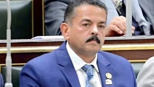 النائب حافظ عمران