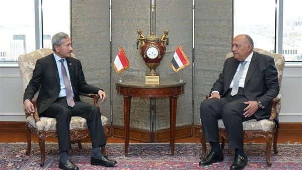 شكري- ووزير خارجية