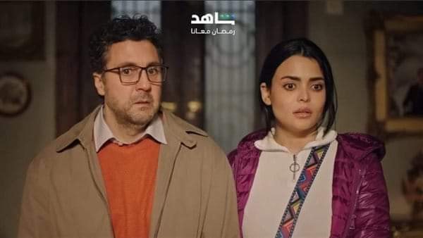 مسلسل أشغال شقة 