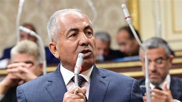 رئيس دفاع النواب