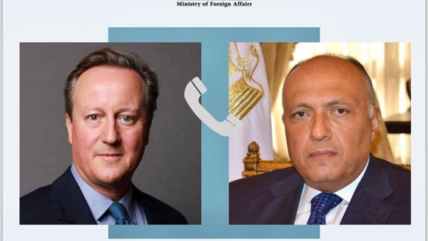 سامح شكري - ديفيد