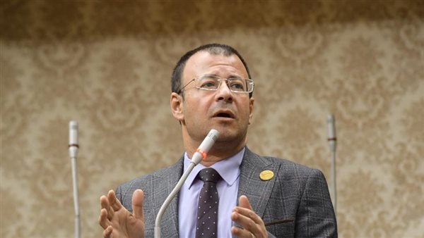  النائب محمود البرعي