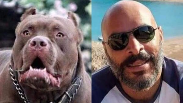 واقعة زوج المذيعة