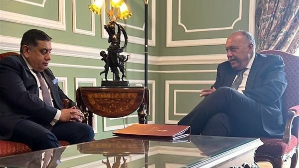 شكري يستقبل وزير