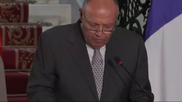 وزير الخارجية المصري