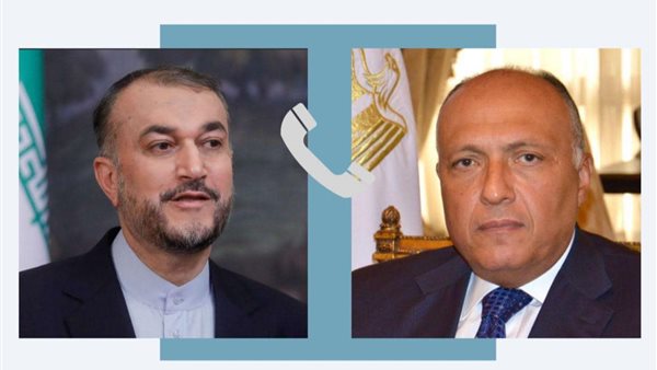 سامح شكري- حسين أمير