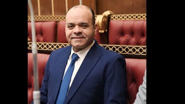  النائب عمرو القماطي