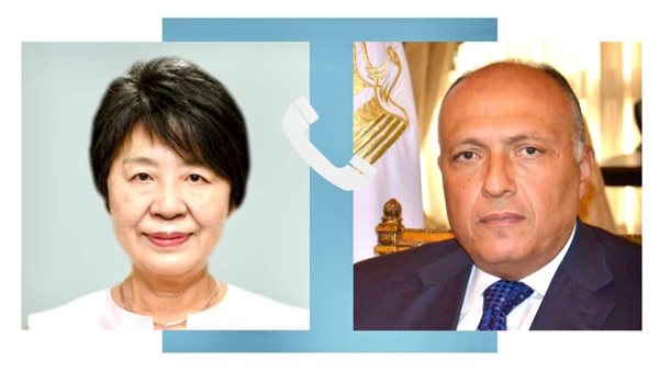 وزير الخارجية المصري