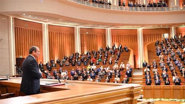 نواب التنسيقية خلال