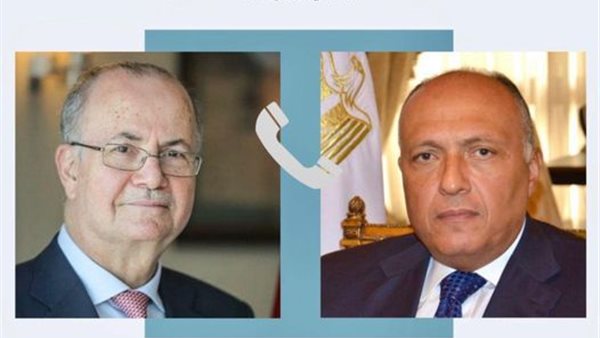 شكري - رئيس الوزراء