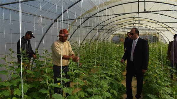 رئيس جامعة العريش